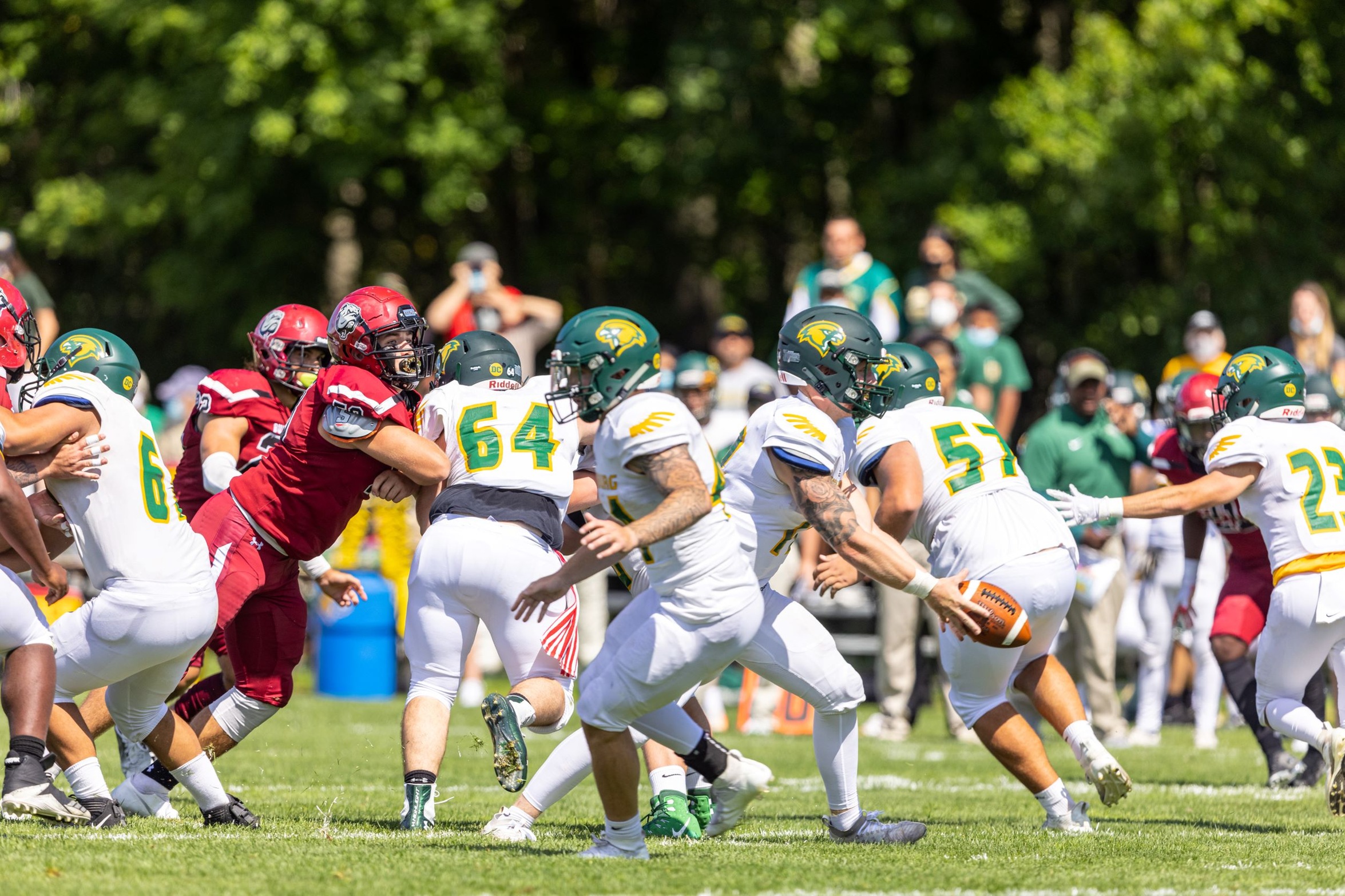 Falcons Fall to West Conn in MASCAC Action