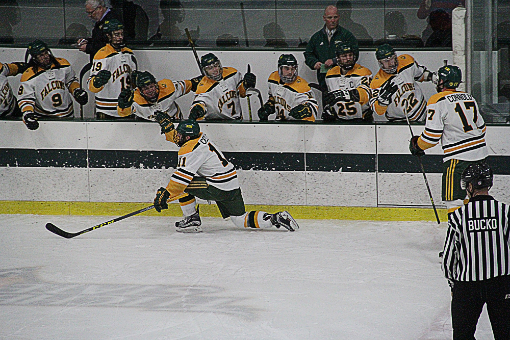 Falcons Earn Trio Of MASCAC Weekly Honors