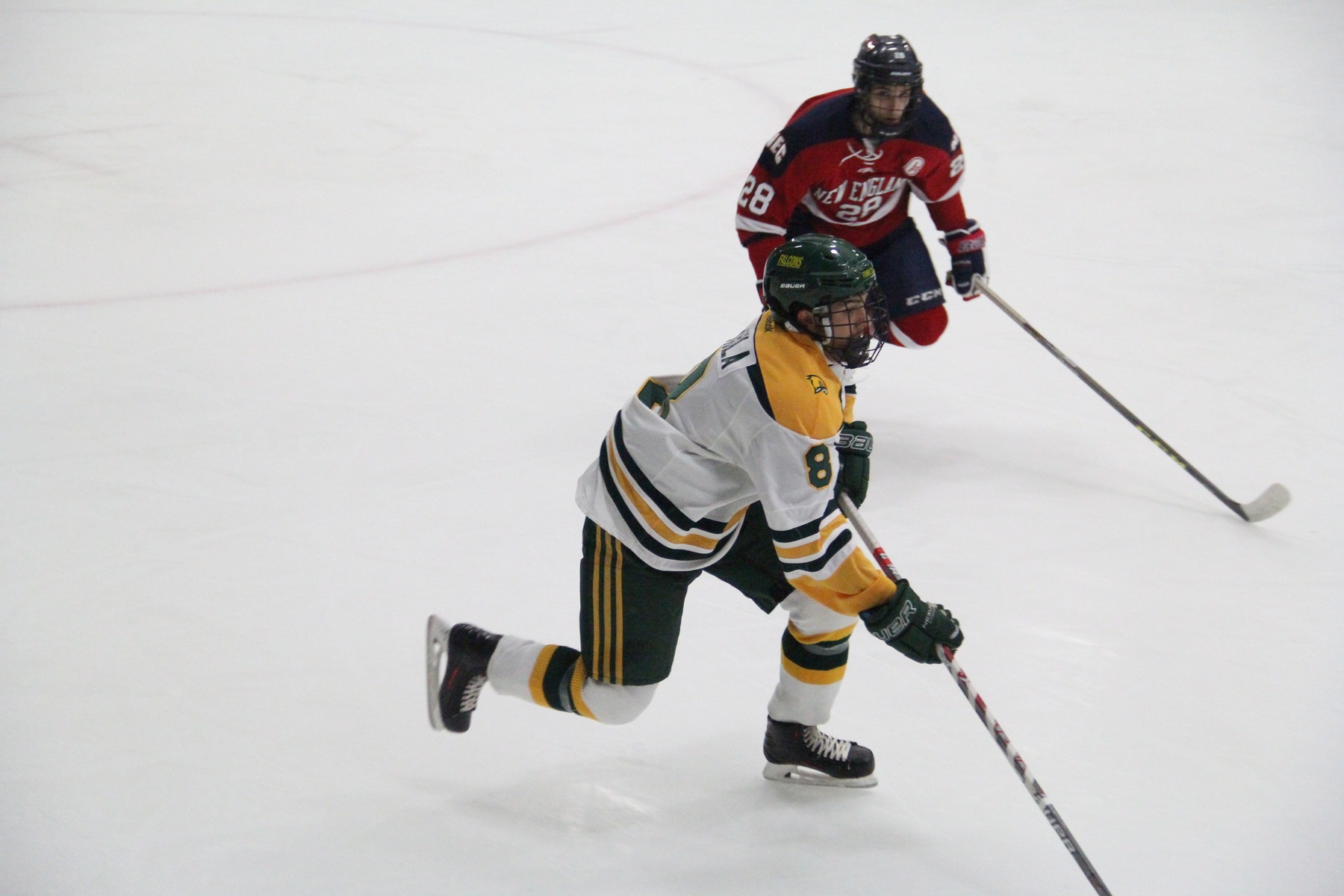 Falcons Soar Past Skyhawks, 4-1