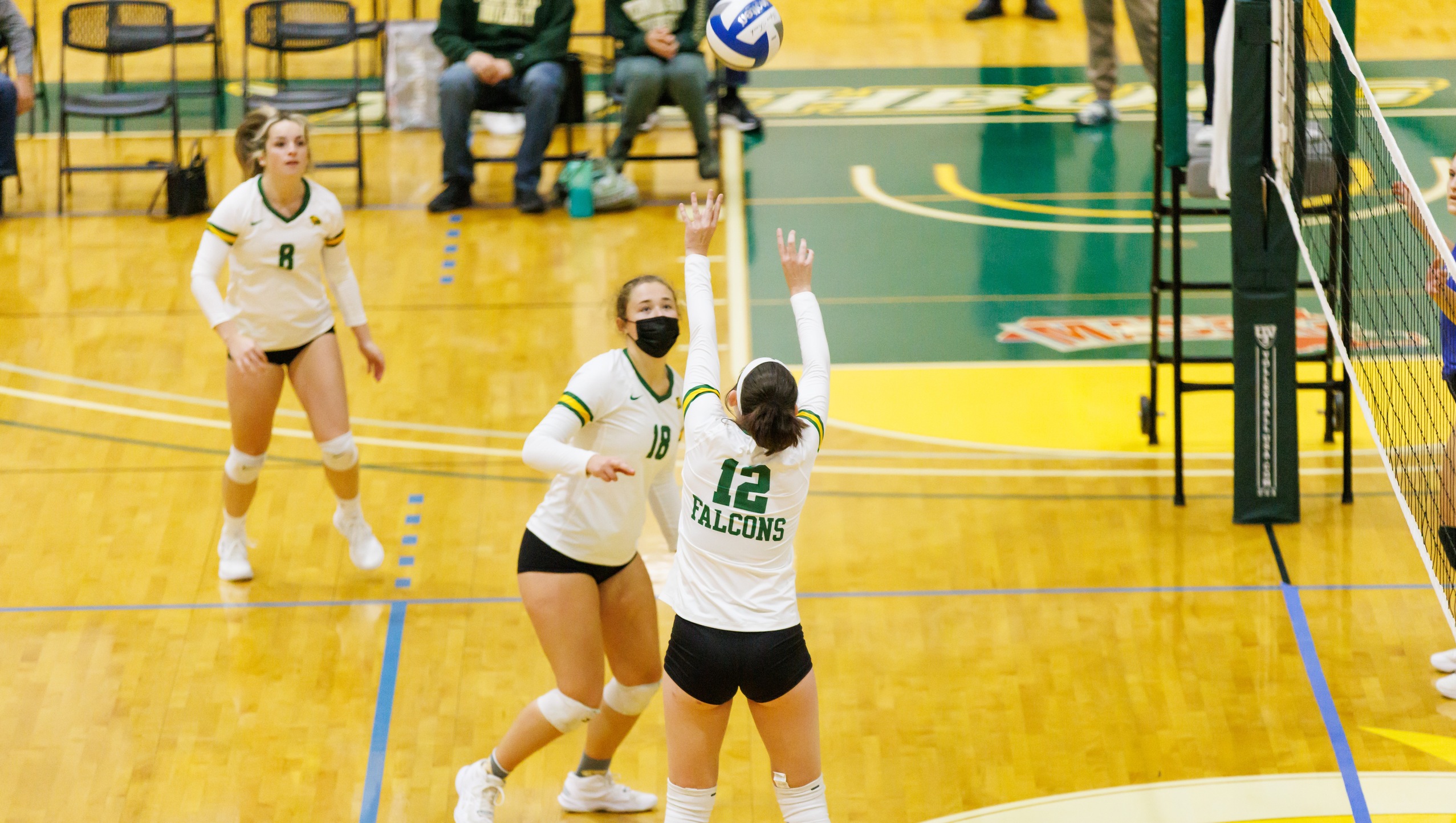 Falcons Defeated by Fisher in Straight Sets