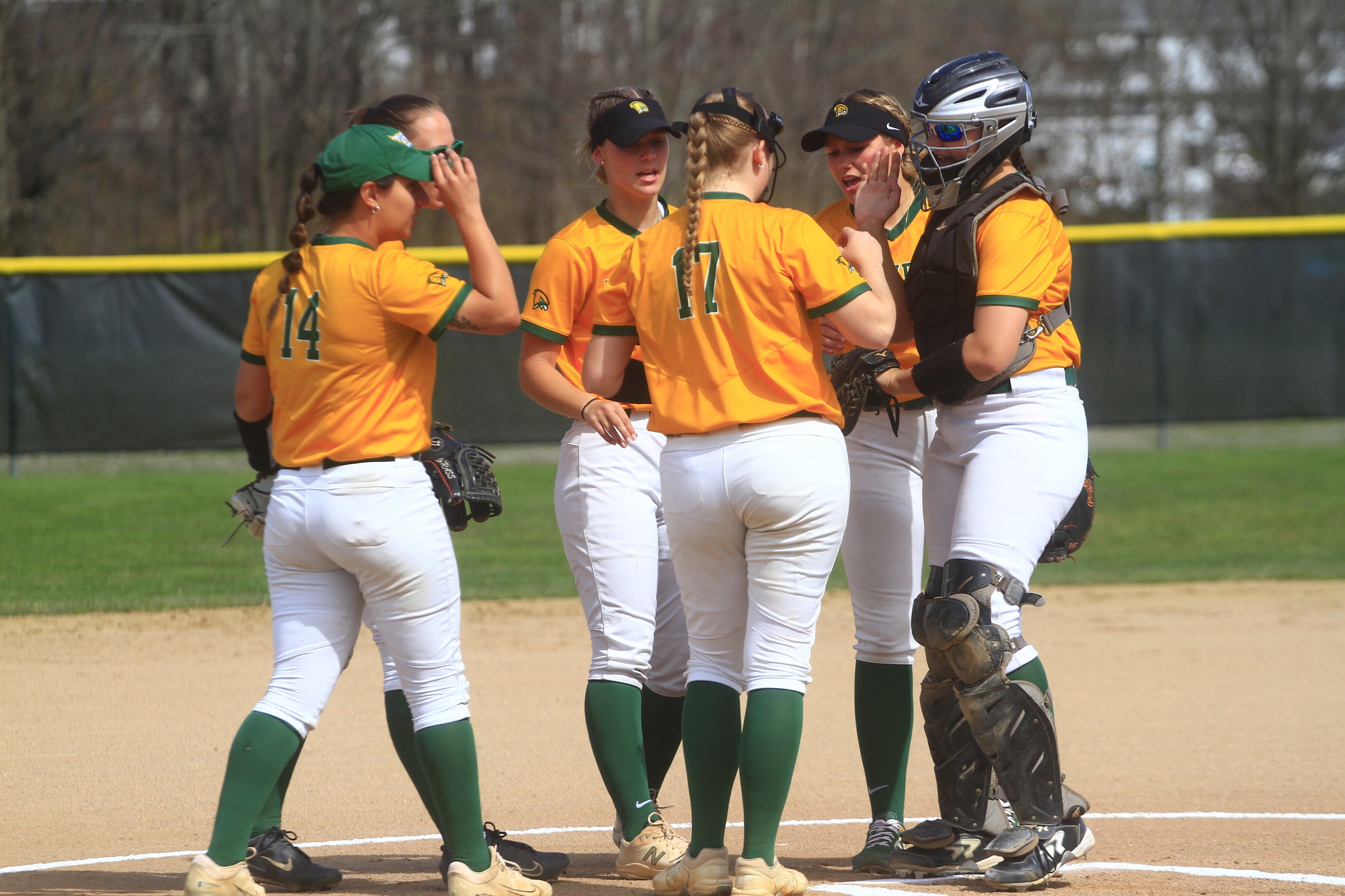 Softball Falls In MASCAC Opening Round