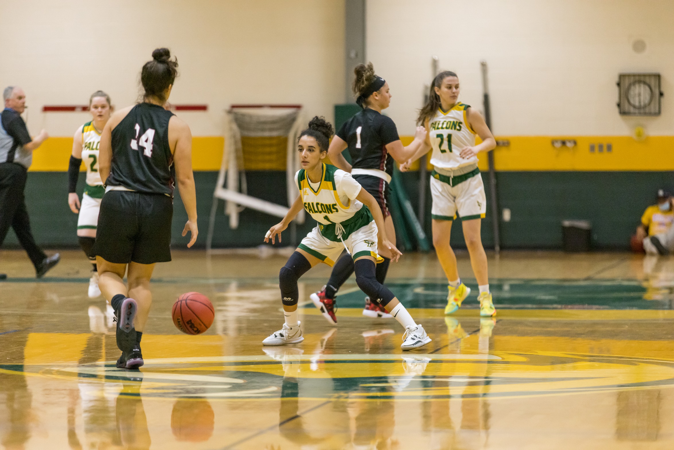 Falcons Outmatched by Owls