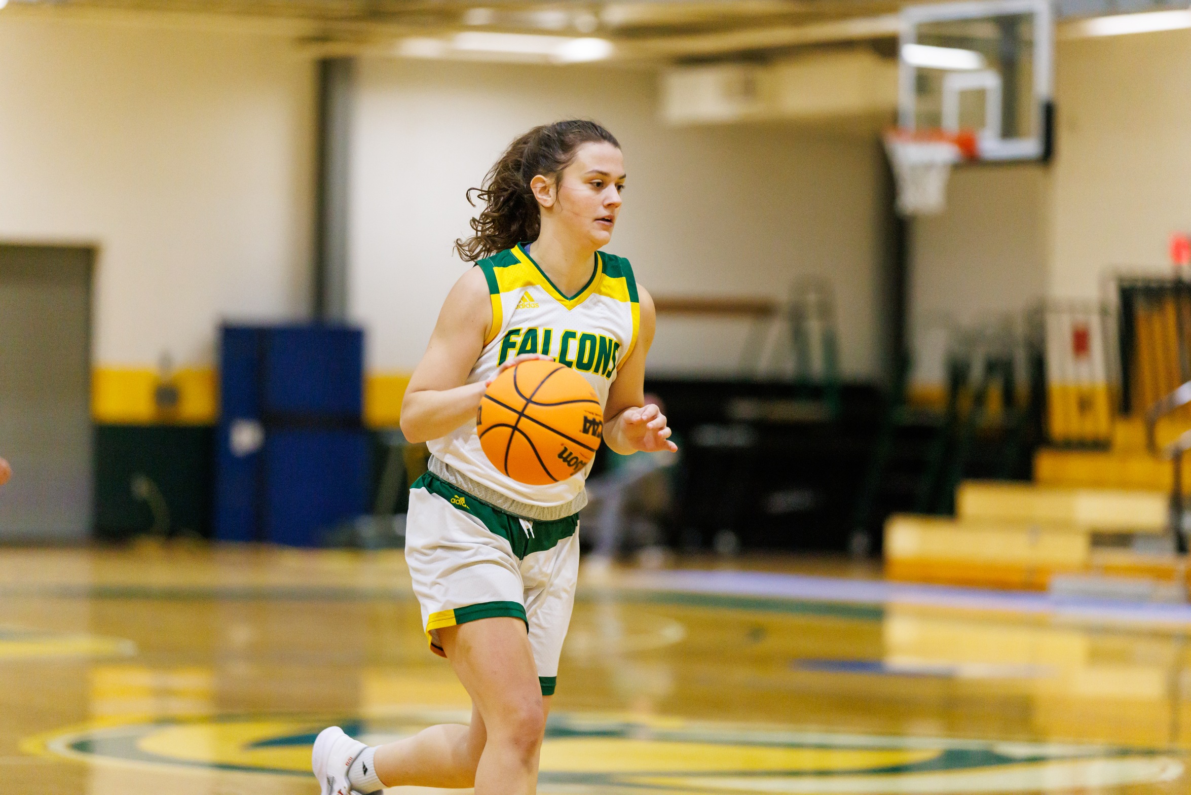 Falcons Topped By Bears In Conference Action