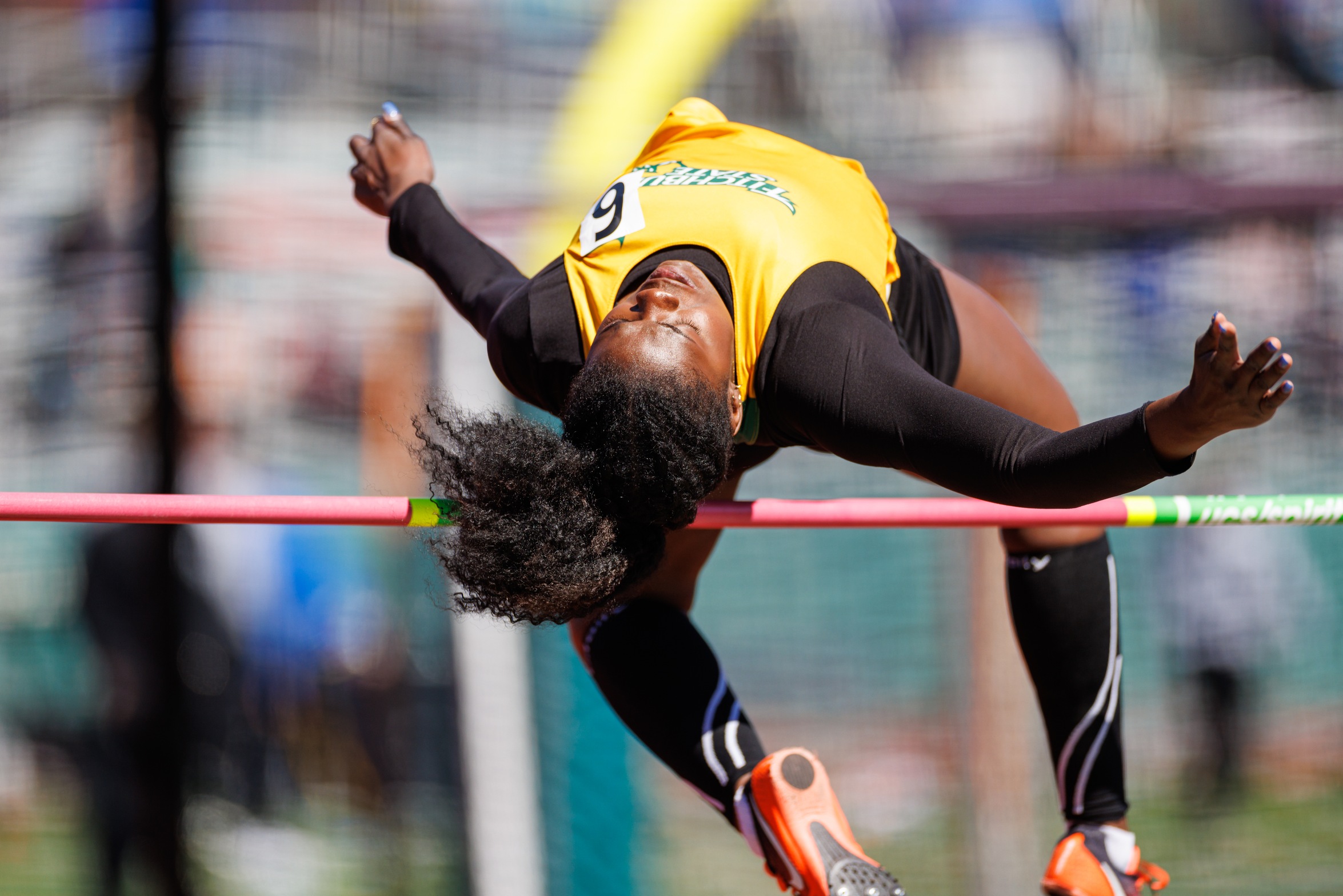 Falcons Shine At Silfen Invitational