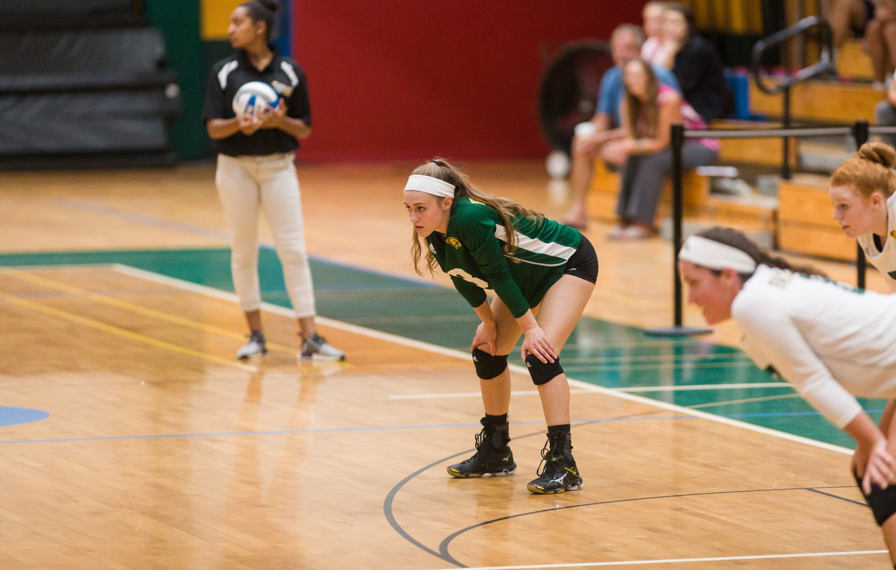 Falcons Defeated By Owls