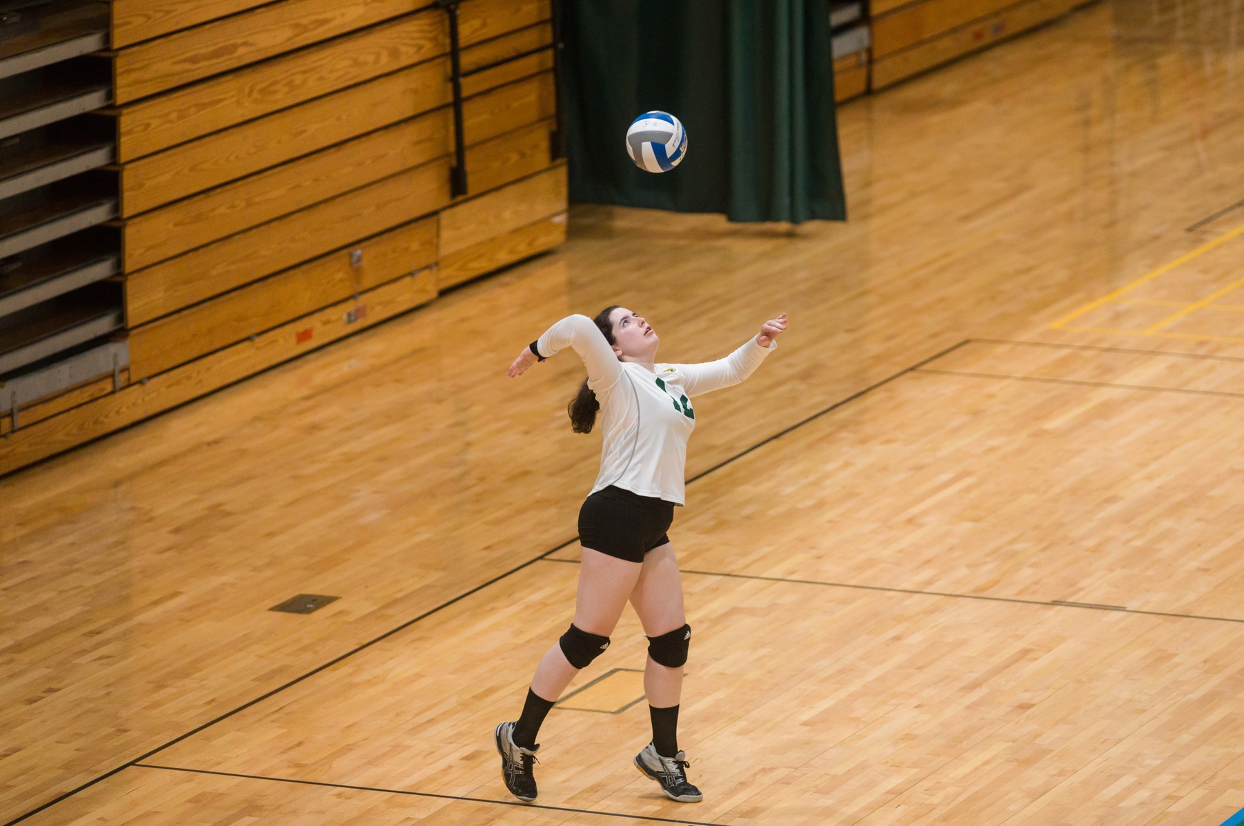 Falcons Upended By Gators