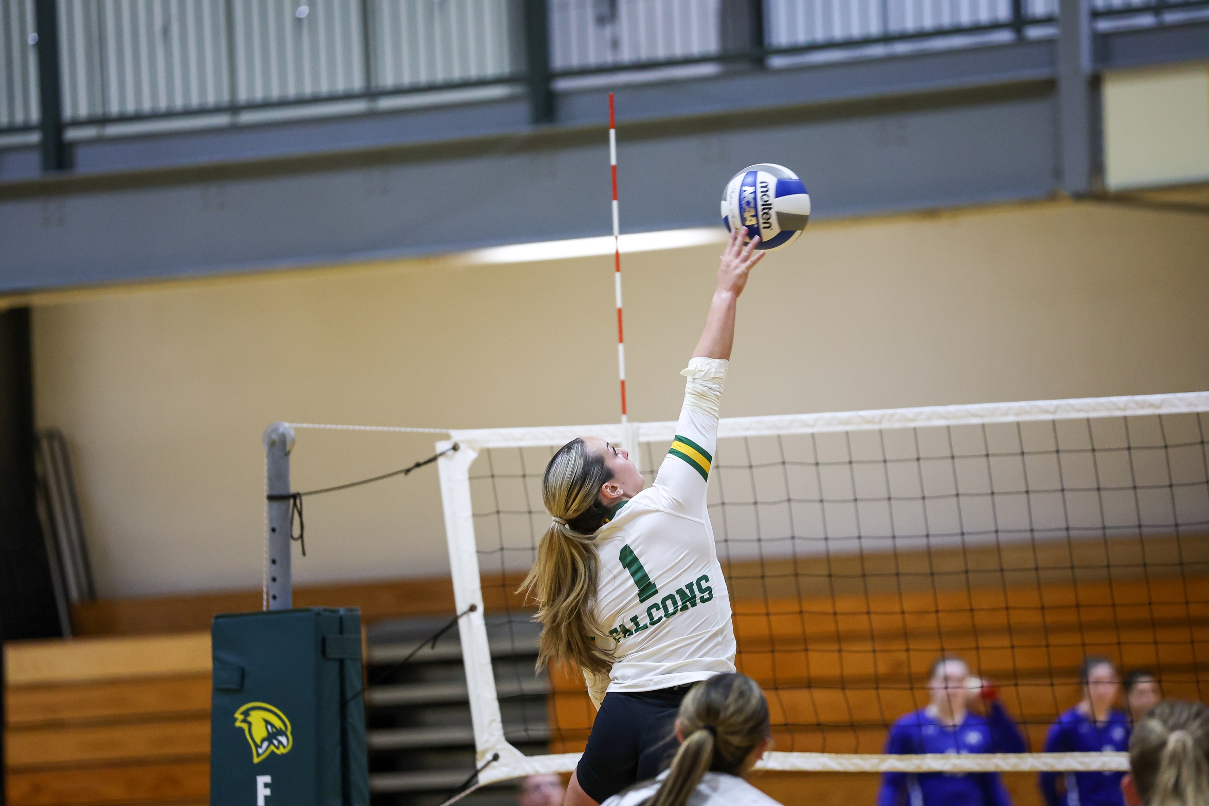 Volleyball Flies Past Albertus Magnus