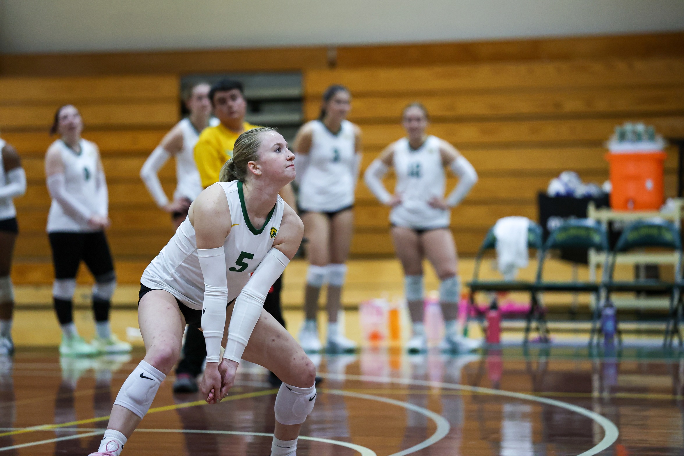 Women's Volleyball Topped By Owls In MASCAC Action