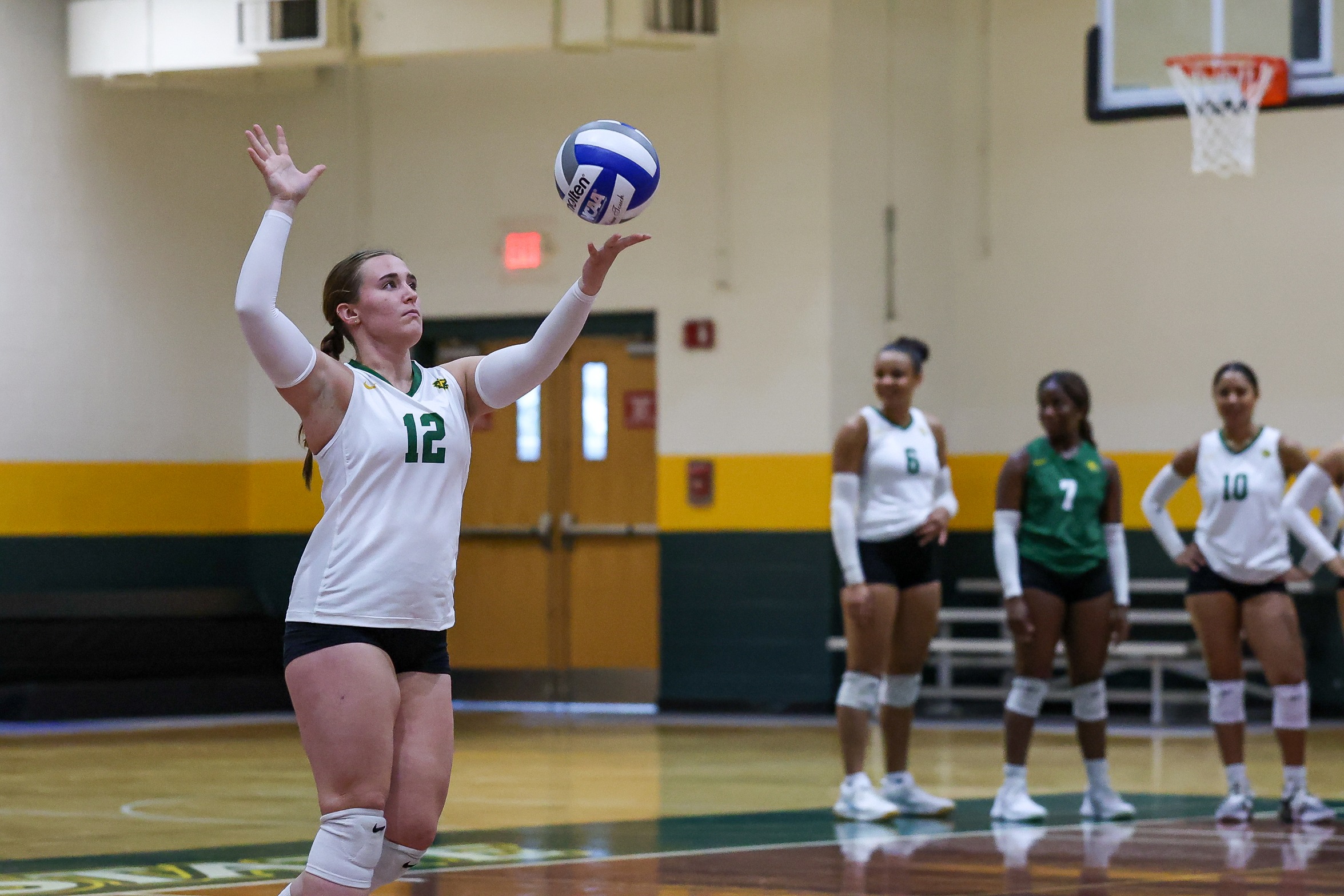 Women's Volleyball Topped By Sharks And Lyons