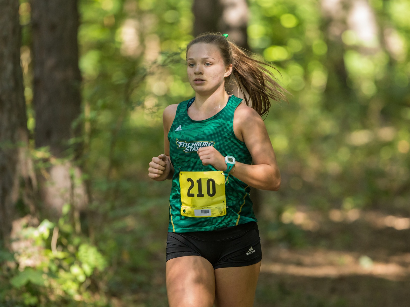 Falcons Shine At NCAA DIII NE Regional Championships